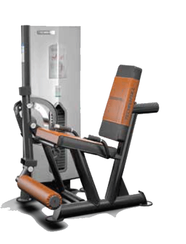 LEG EXTENSION